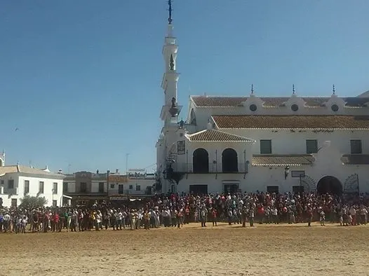 5384-2014-saca-2