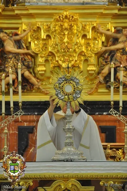5568-vigilia-mariana-2014-12