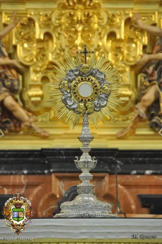 5568-vigilia-mariana-2014-9