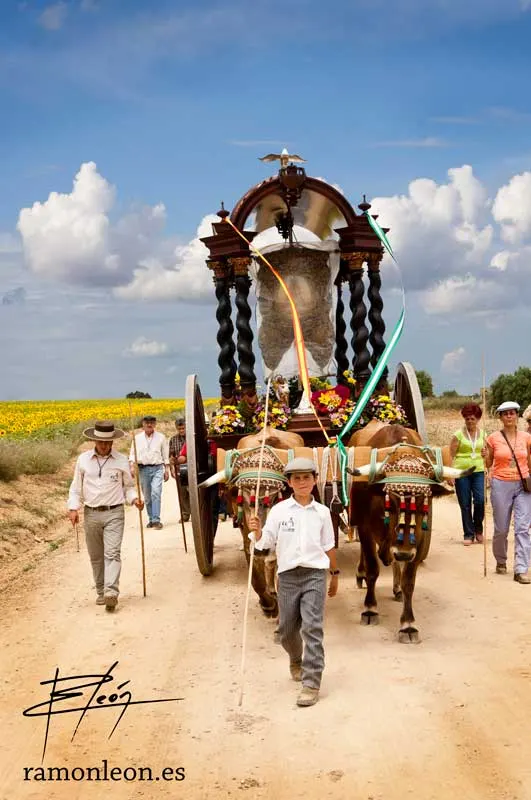 -hermandad-guadix-rocio-virgen-ramon-leon-fotografia-andalucia