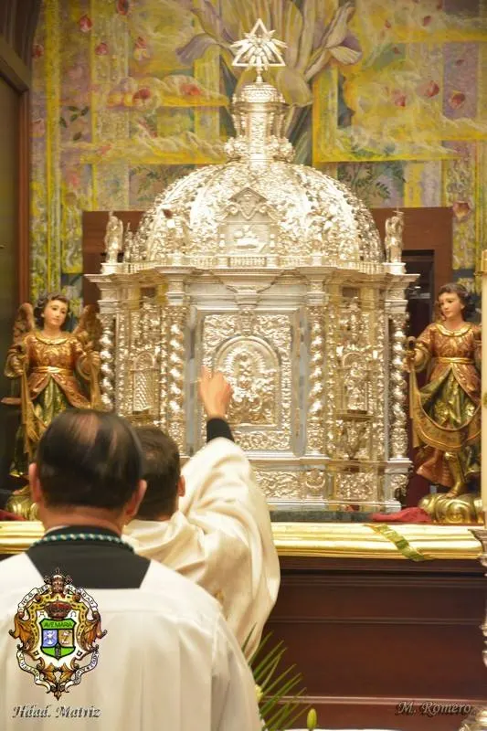 vigilia mariana 2015-16