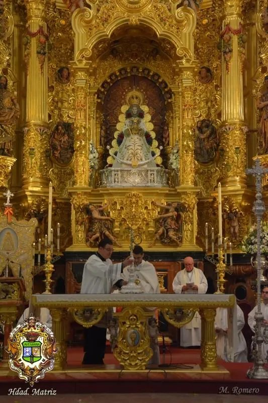 vigilia mariana 2015-17