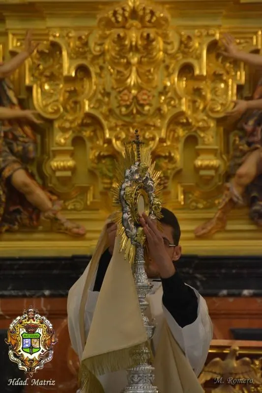 vigilia mariana 2015-18