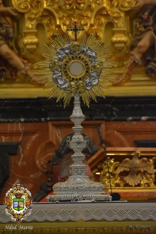 vigilia mariana 2015-19