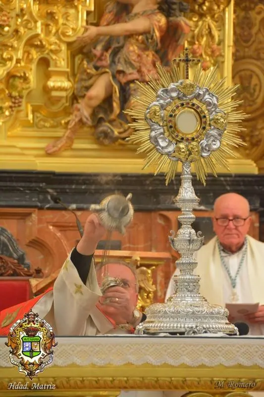 vigilia mariana 2015-20
