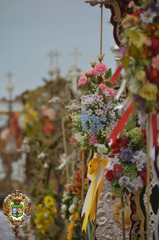 Misa Rocio 2015 -74