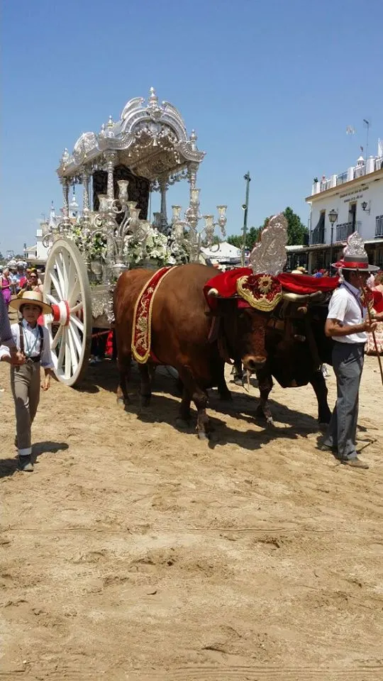 Rocio de Carrion-8