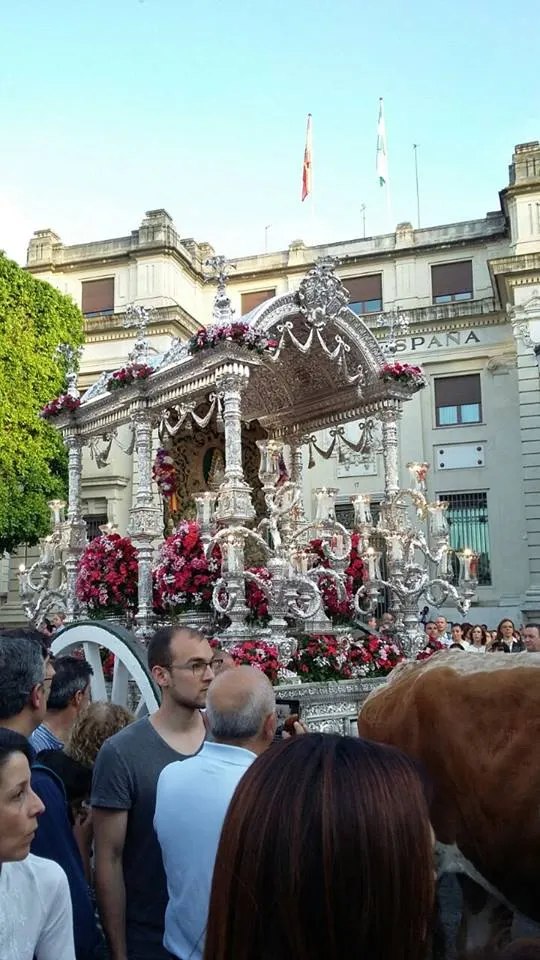 Salida Rocio Sevilla 2015-Bustamante-2