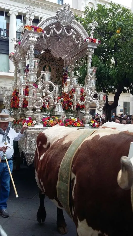 Salida Rocio Sevilla 2015-Bustamante-3
