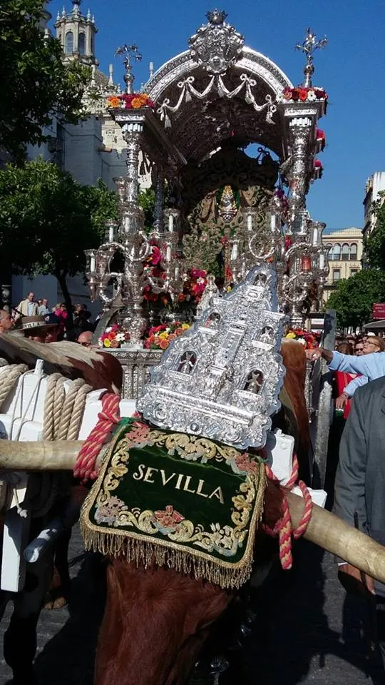 Salida Rocio Sevilla 2015-Bustamante-5