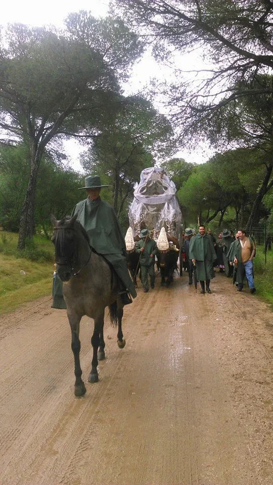 Morón al rocio 2016-2