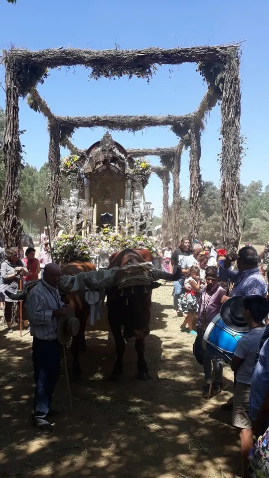 Momentos del Camino al Rocio 2019- Bormujos-4