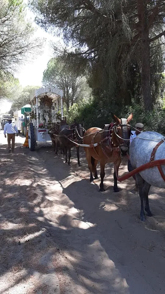 Momentos del Camino al Rocio 2019- Chiclana-2
