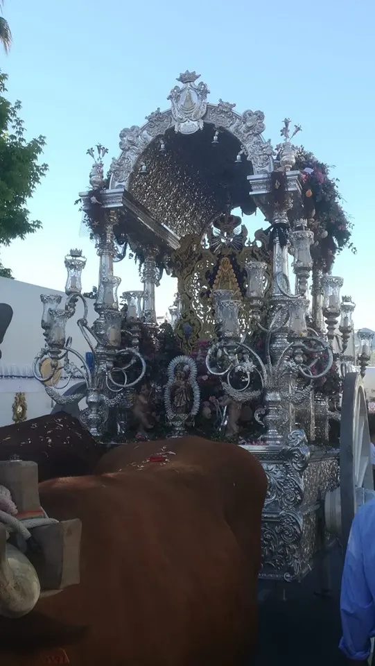 Momentos del Camino al Rocio 2019- Fuengirola
