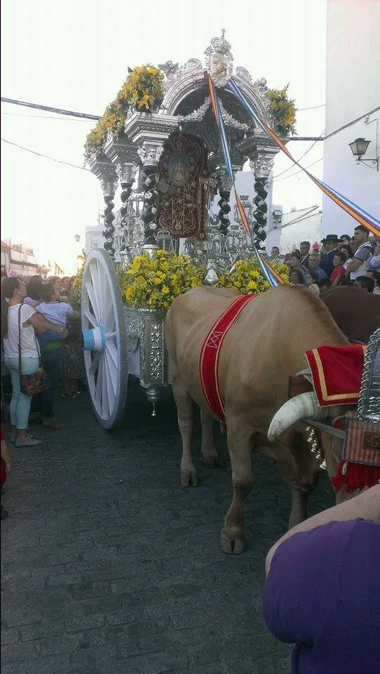 gelves-rocio.com-2014