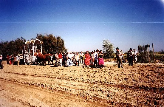 camino0054_std