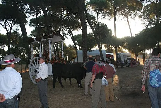 aviles-rocio-2009-097_std