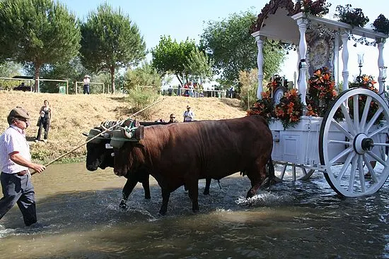 aviles-rocio-2009-146_std