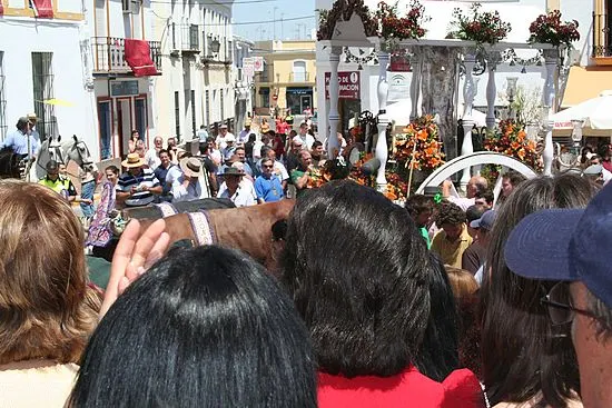 aviles-rocio-2009-159_std