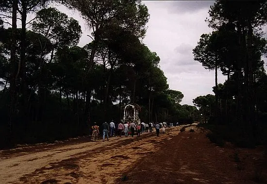 camino0067_std