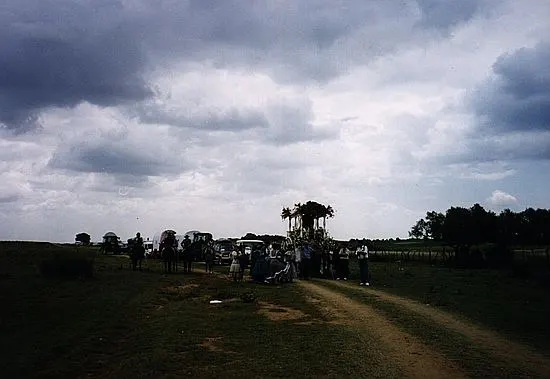 camino0070_std