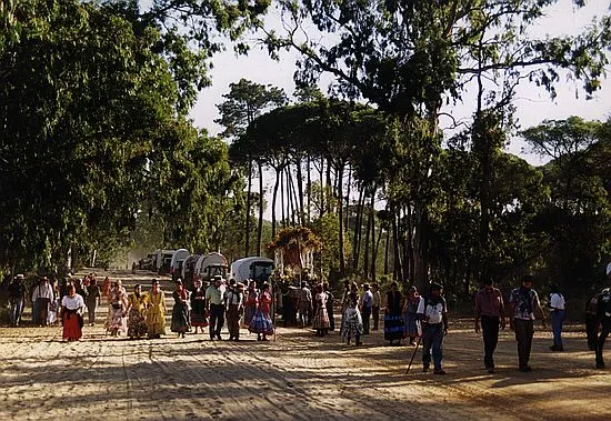 camino0071_std