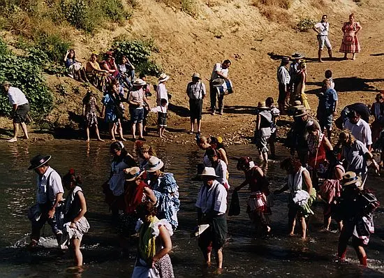 camino0031_std