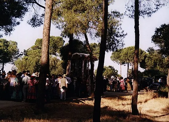 camino0032_std