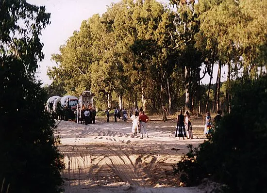 camino0038_std