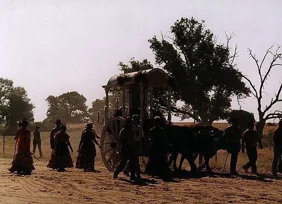 camino0040_std