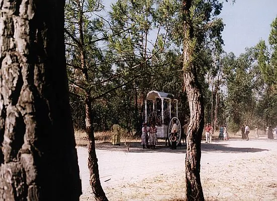 camino0043_std