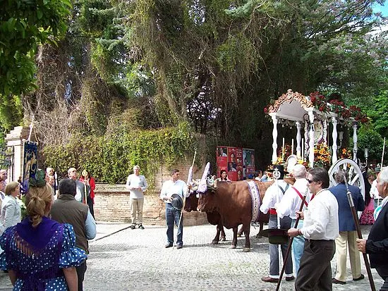aviles-rocio-2009-204_std