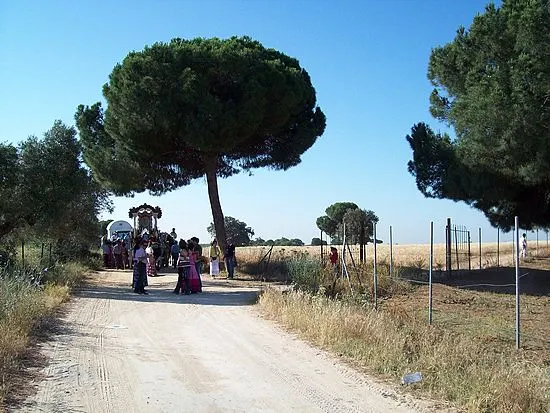aviles-rocio-2009-224_std