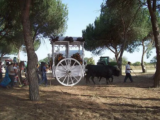aviles-rocio-2009-276_std