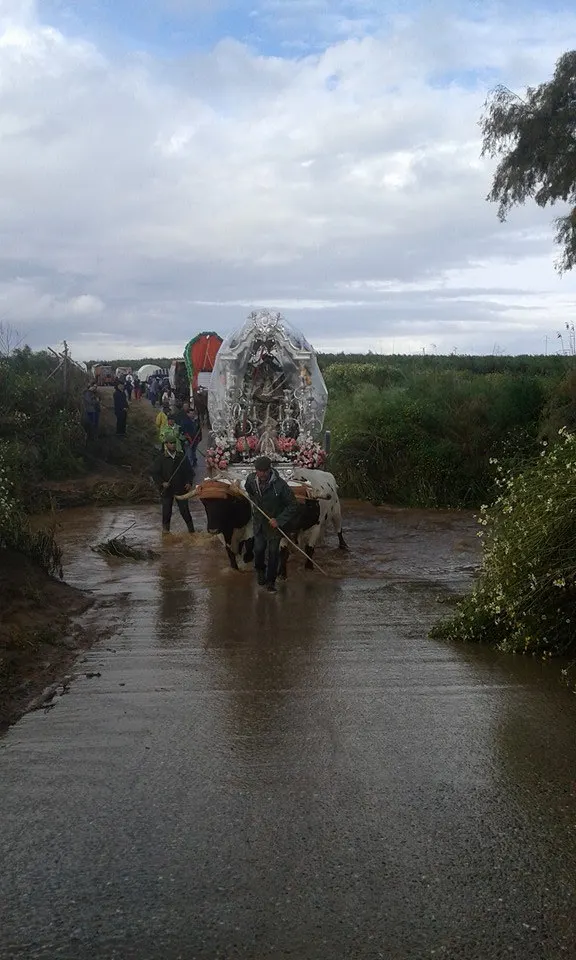San Juan de Aznalfarache al rocio 2016-1