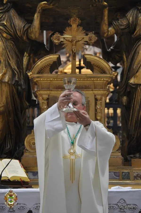 5119-matriz-papa-sta.-maria-32