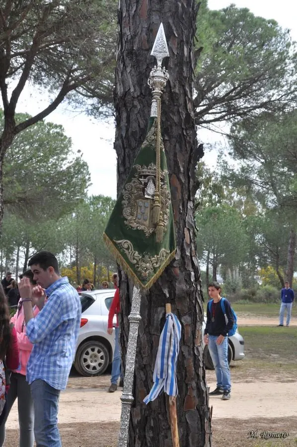 peregrinacion-2014-encuentro-5192-joven-56