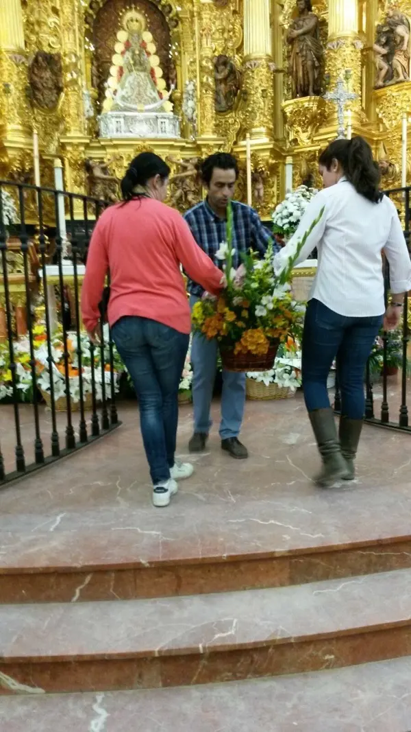 peregrinacion foro 2015-11