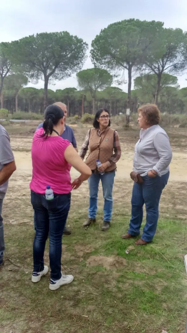peregrinacion foro 2015-12