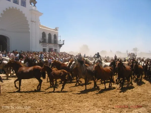 yeguas2006-8