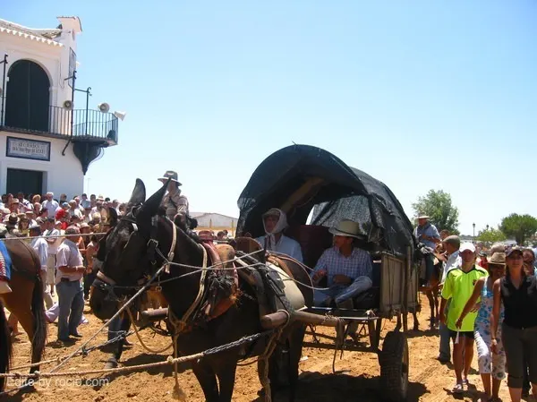 yeguas2006-9