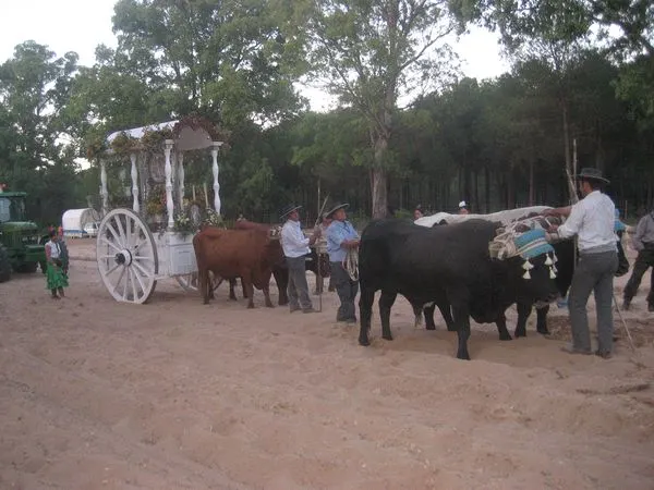 rocio-2010-img_0003_std