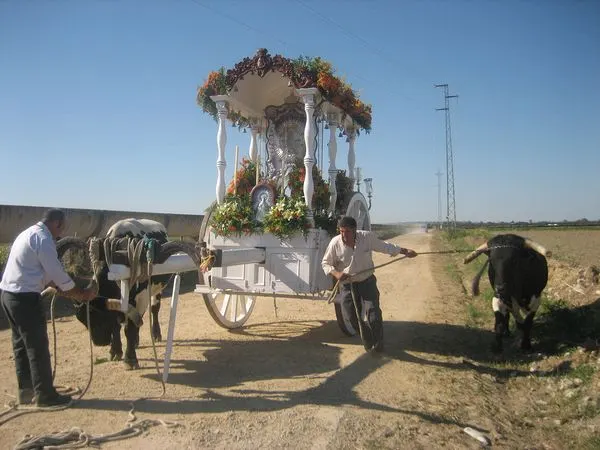 rocio-2010-img_9842_std