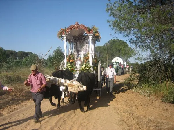 rocio-2010-img_9917_std