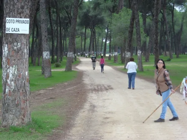 peregrinacion foro 2015-09