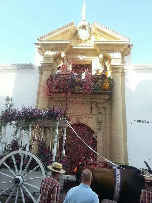 ronda-rocio.com-2-2014