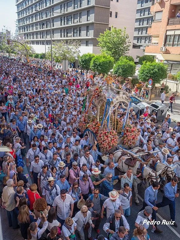 Momentos del Camino al Rocio 2019- Huelva-3