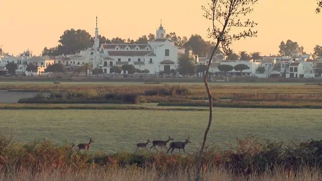 5015-el-mundo-del-rocio-5