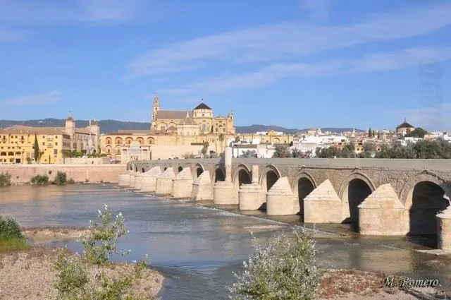 rocio_de_la_fe_cordoba_2013-61514_n