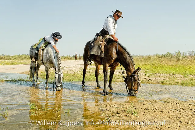 Fotos-rocio-willemkuijpers-2010-053_std